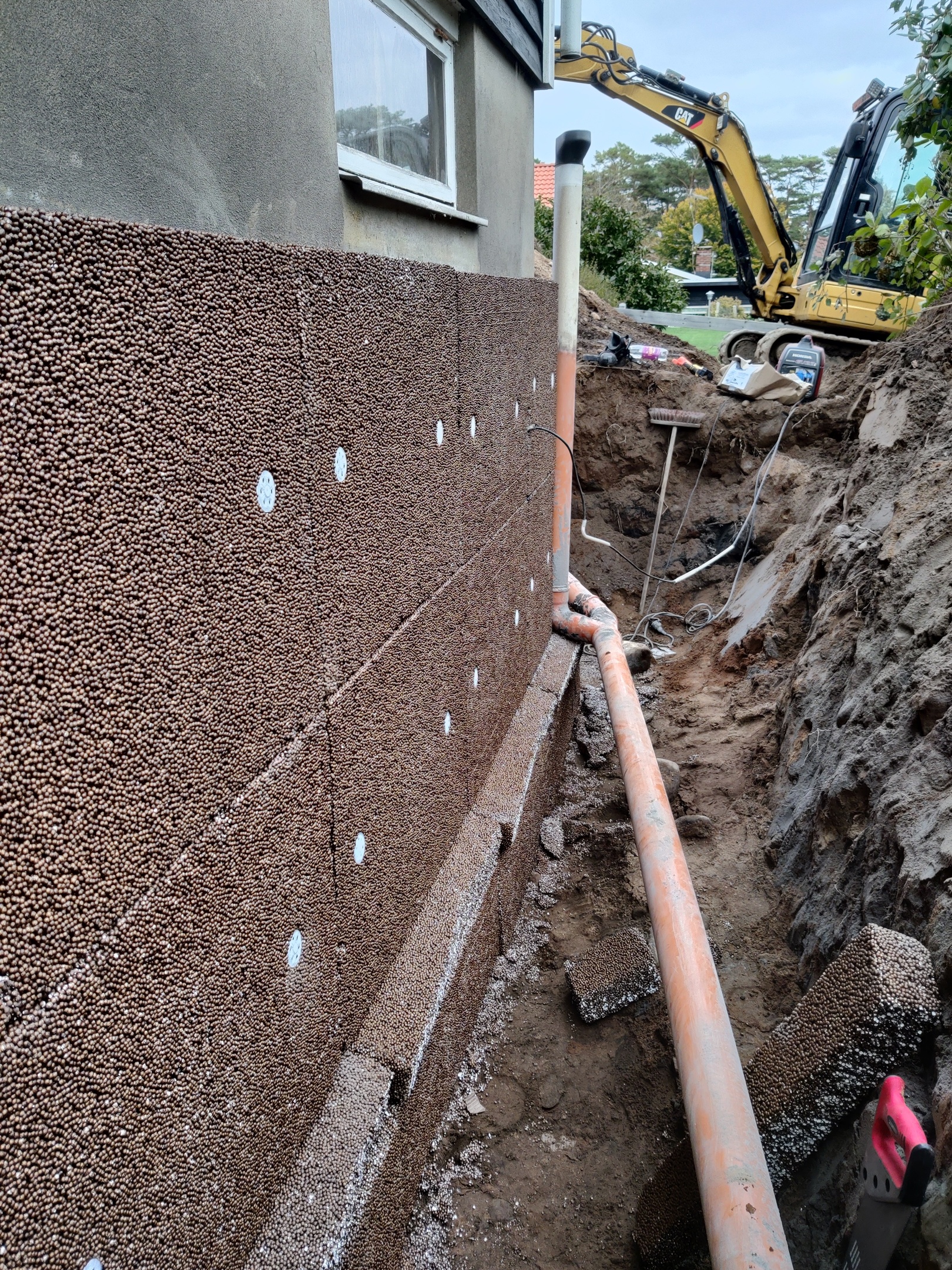 Rullgräs Helsingborg